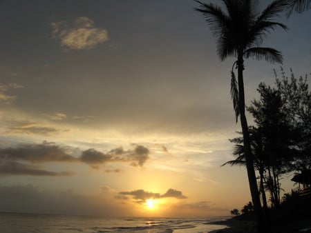 Cuban Sunrise - ocean, paradise, palm, cuba, cloud, skyline, tree, sunrise, havana