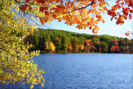 Lake - lakes, nature, sky, forests