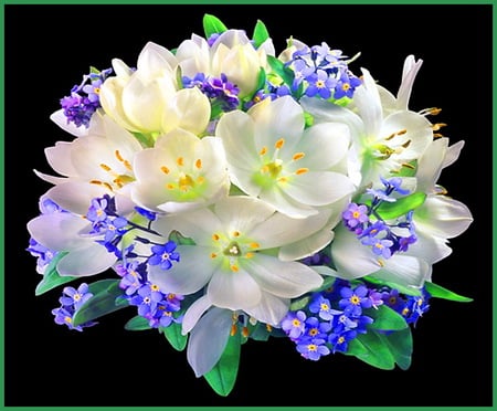 Blooms for Miss Anna - white, blue, green, flowers, black background