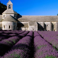 Abbey of senanque