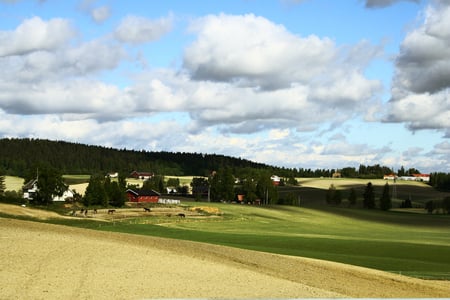 green - green, sky, summer, beautiful