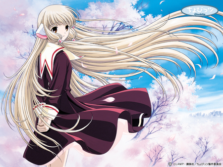 Chobits - Sakura Chii - chii, anime, chobits, sakura