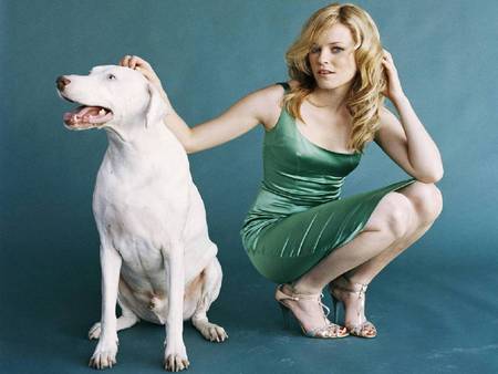 Elizabeth Banks & Dog - banks, elizabeth, beautiful, elizabeth banks, dog, actress