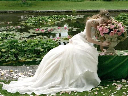 Roses Bride - woman, people, female, roses, beautiful, bride, rose, model