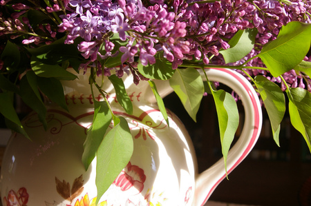 still life - lilacs, purple, jag, still life, country