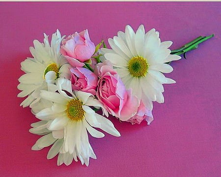 Gift for Patrice - roses, gift, pink, white and yellow, daisies, pink background