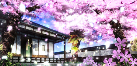 Cherry Blossoms - anime, cherry, blossoms, sakura