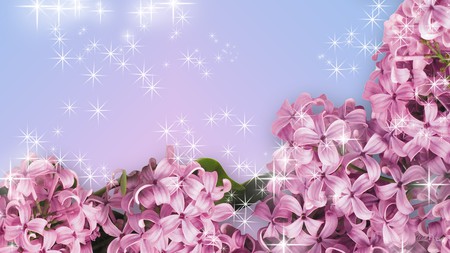 Fragrance of Lilacs - lilacs, stars, pink, blue, flowers, sparkles, firefox persona, spring