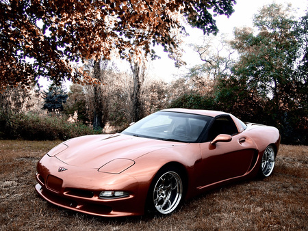 Wittera Chevrolet Corvette C5 Wide Body - 2011, c5, corvette, wittera