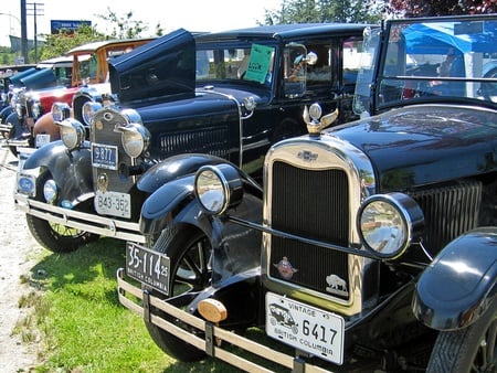 old car - old car, car, ford, classic, auto, chev