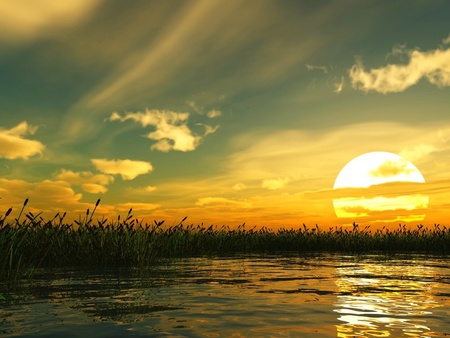 nature at sunset - nature, sky, sun, water, sunset, grass