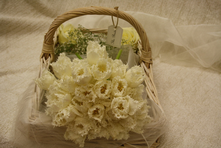 still life - white, veil, tulips, bride, basket, bouquet, still life