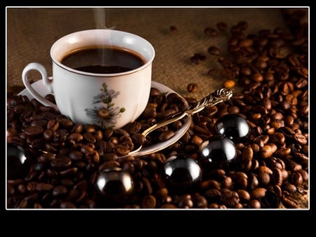 Doruletz - special, coffee, gift, photography, still life, cup, white, abstract, brown, doruletz, photo