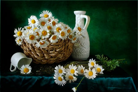 still life - nice, photography, bouquet, basket, lovely, still life, cool, pretty, beautiful, daisi, flowers, daisies, photo, flower, harmony