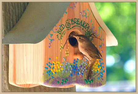 A place to stay - bed and breakfast, art, birdhouse, sparrow