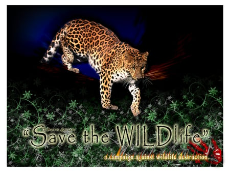 SAVE THE JAGUARS - wildlife, abstract, animals, cats, jaguars, save the animals