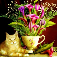 Cat flowers