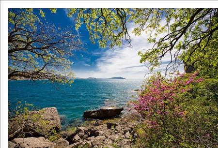 Simply beauty - vegetation, horizon, magic, blue, bushes, flowers, shore, turquoise, color, gradient, sky, trees, water, simply beauty, charm, photography, rock, colorful, nature, green