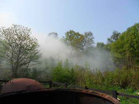 Smoke Mist Forest - woodland, still, day, smoke, leicestershire, clear, outwoods loughborough, mist