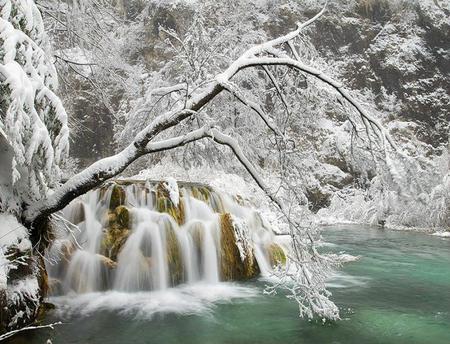 Icy Waters - white, trees, frost, snow, water, waterfall, rocks