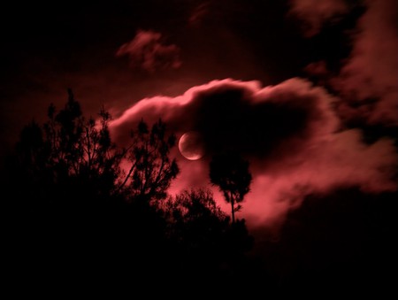 FEBRUARY MOON - moon, sky, february, dark, clouds, red, night