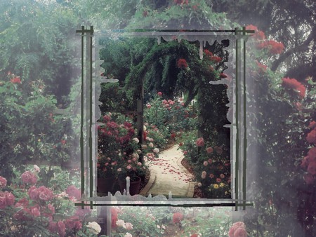 Rose Arbor Garden Gate 1 - gate, photography, rose, nature, arbor, floral, photo, garden, flower