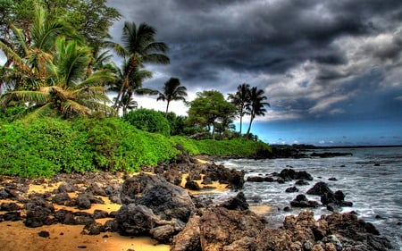 Beautiful - summer, blue, beach, splendor, island, grass, sand, shore, view, exotic, palm trees, paradise, sky, clouds, greenery, palms, trees, water, beautiful, sea, beauty, lovely, ocean, stones, tree, tropucs, nature, tropical, green, waves, peaceful