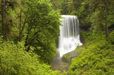 Waterfall in wood - trees, nature, waterfall, beautiful