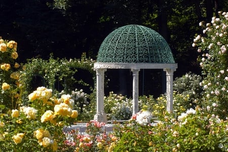 rose garden - flowers, nature, garden, gazebo, rose