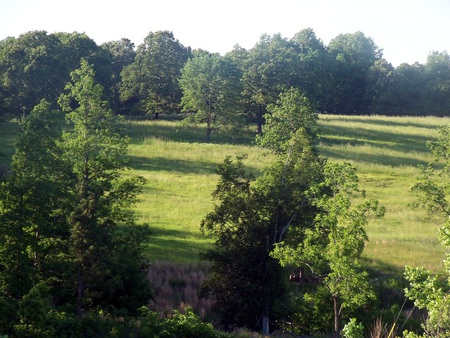 Highbrawn - hills, grassland, forest, tennesee