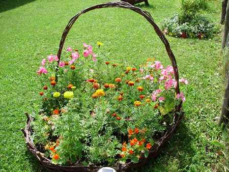 garden basket - nature, basket, flowers, garden