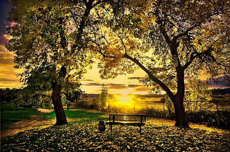 A spot for two - clouds, trees, sunset, golden sky, bench, country