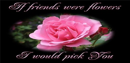 If friends were flowers I would pick you - black, rose, flower, pink