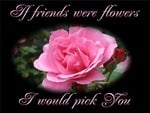 If friends were flowers I would pick you