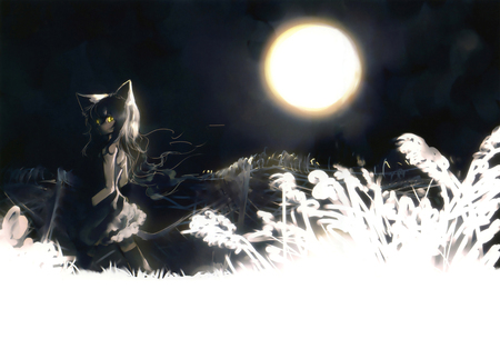 deep night sky - clouds, moon, yellow eyes, anime, animal ears, beautiful, kei, girl, night, cat girl, thigh highs