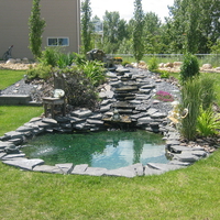 Fountain in my backyard