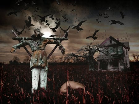 Dark - fantasy, birds, dark, scarecrow