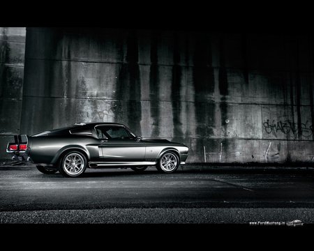 GT 500 - gt, 500, ford, mustang