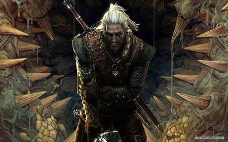 Witcher - fantasy, game, witcher, dark