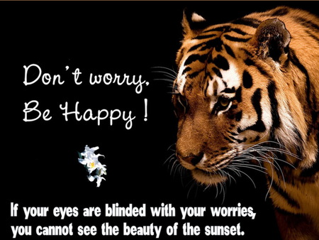 truer words were never spoken - tiger, gorgeous, comment, beautiful