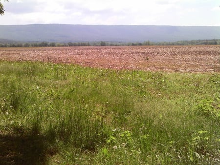 Shenandoah Valley, Va. - green, mountains, valley, field