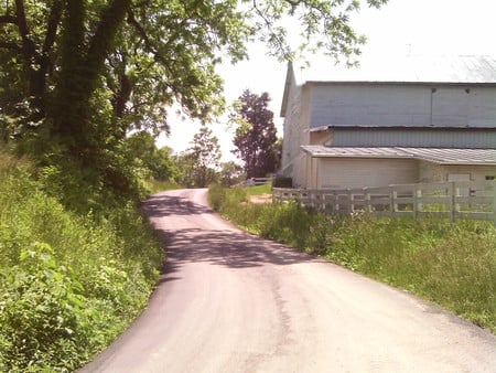 Barn in Shenandoah County, Va. - road, tree, green, barn