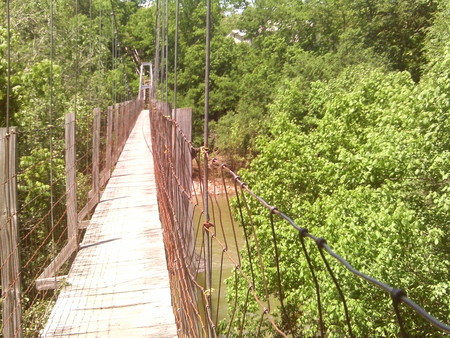 Swinging bridge, Shenandoah Co. Va. - green, bridge, swinging, trees