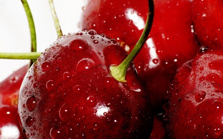 sweet summer cherries - red, photography, food, fruit, sour, sweet