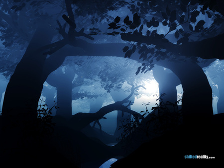 Blue Forest - nature, shiftedreality, forests, blue