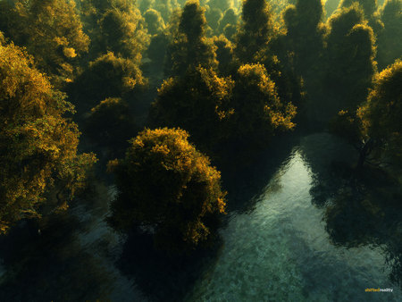 Forests Flood - flood, forests, nature, shiftedreality