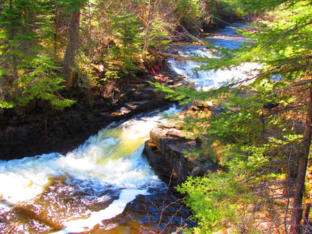 Rapids on the river - river, water, canada, creek, forest, rapids, rocks