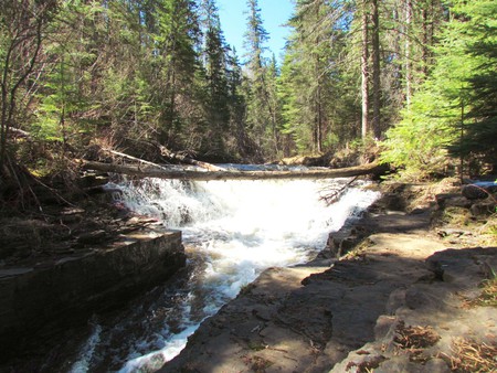 Whitewater on the river - nature, trees, forest, river, water, rocks, creek