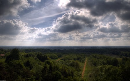 Tribute To R - nature, sky, trees, road