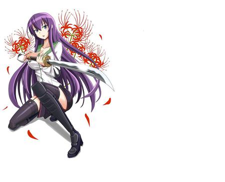 highshool of the dead - school, katana, uniform, flowers, purple hair, busijima